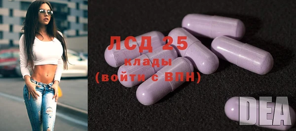 сатива Богданович