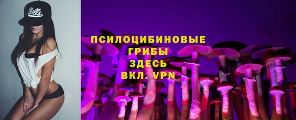 дживик Белоозёрский