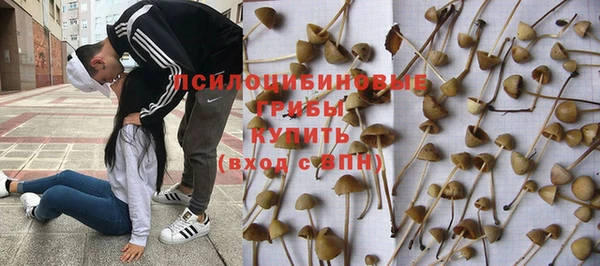 MDMA Богородск