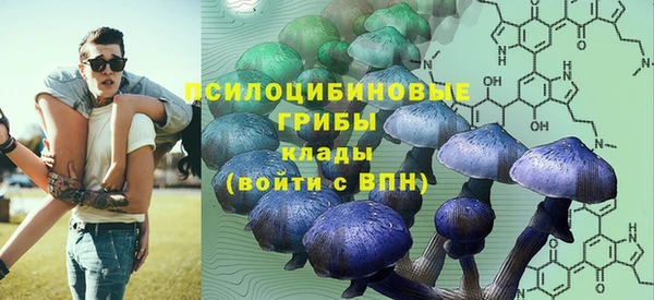 дживик Белоозёрский