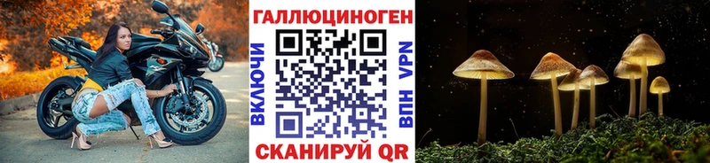 сколько стоит  Кушва  Псилоцибиновые грибы Magic Shrooms 