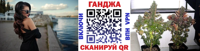 Канабис сатива  Кушва 